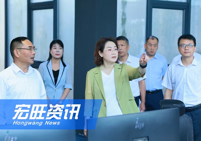防城港市委書記黃江一行蒞臨廣西宏旺調(diào)研